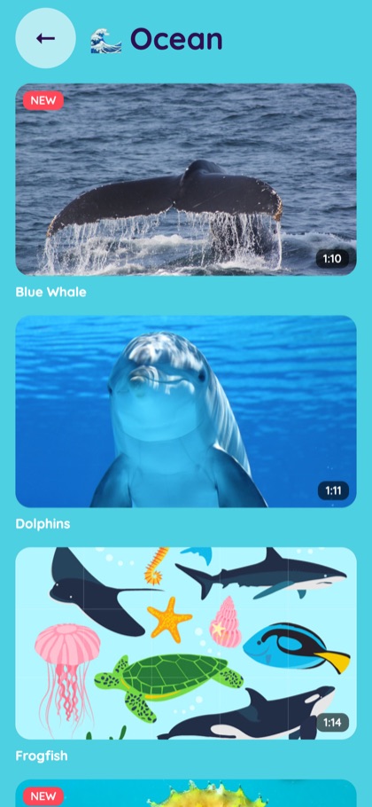 Ocean topic with Blue Whale, Dolphins and Frogfish videos